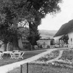Borinka