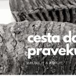 Cesta do praveku – paleolit a neolit, vzdelávací program pre ZŠ